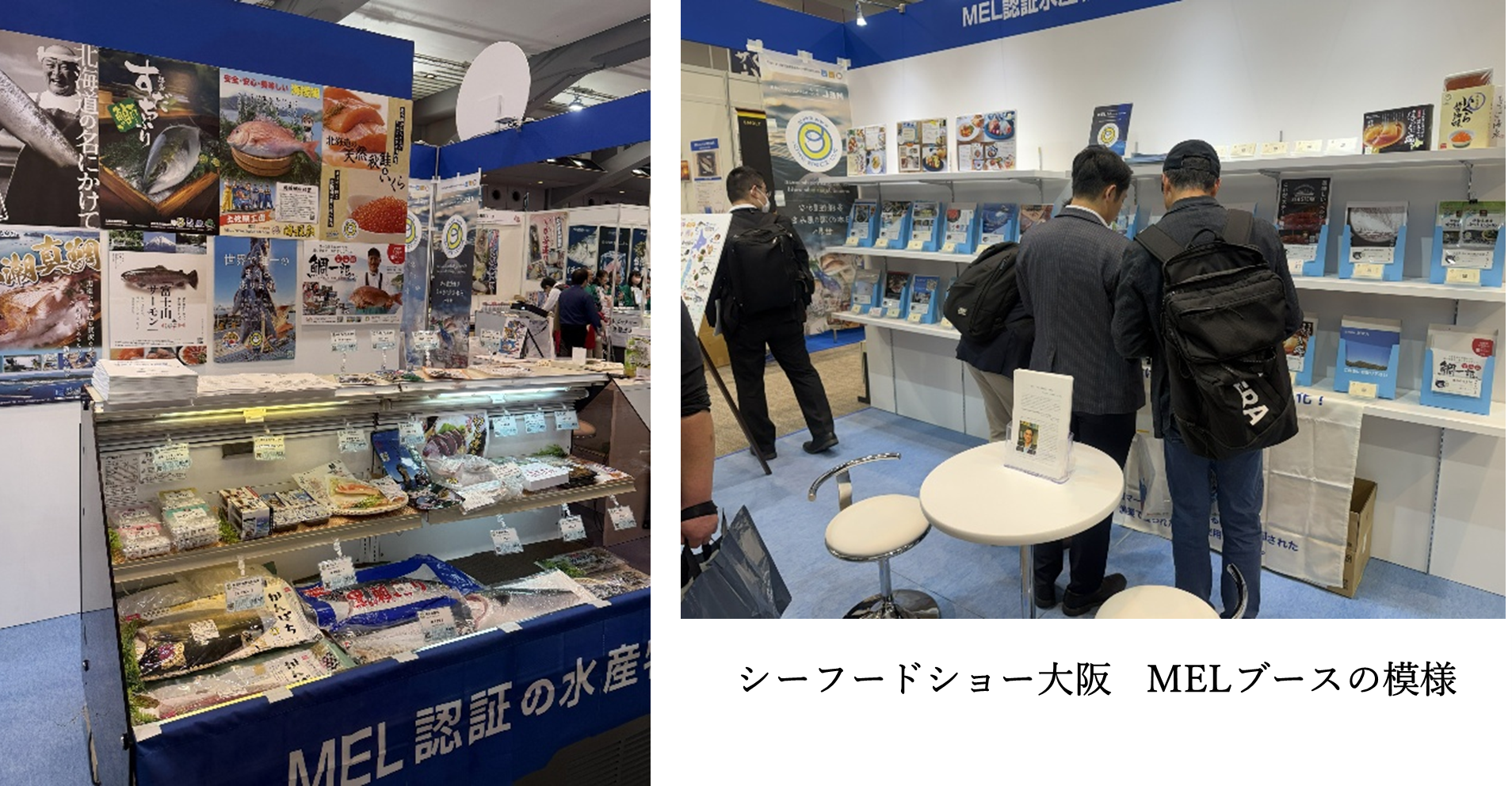MELニュース2026年3月 第96号 | 未来につなげよう海と魚と魚食文化